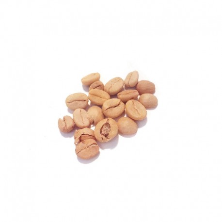 Semi di Pianta del Caffè (Coffea arabica nana)