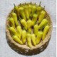 semi di Peperoncino Hungarian Yellow - piccante