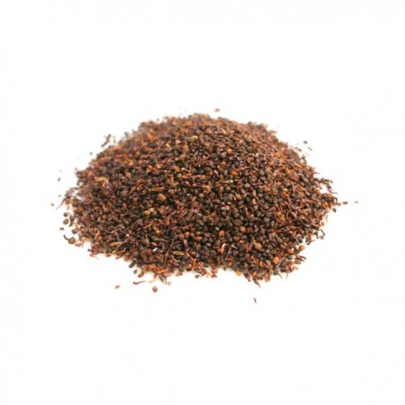 Semi di Eucalipto arcobaleno (eucalyptus deglupta)