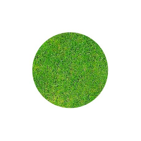 Semi per Prato Ricco Rustico confezione da 1kg per 50mq