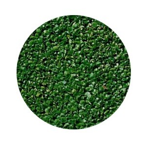 Semi di Dicondra Tappezzante - confezione da 200 gr