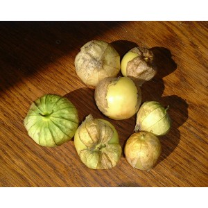 Semi di Tomatillo (Physalis philadelphica)